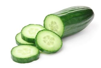 Cucumber – Cotyledon Vegetable Farm